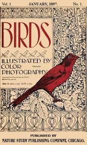 Birds, Illustrated by Color Photography, Vol. 1, No. 1